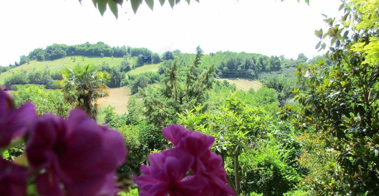 B&B Carboni Penna San Giovanni Εξωτερικό φωτογραφία