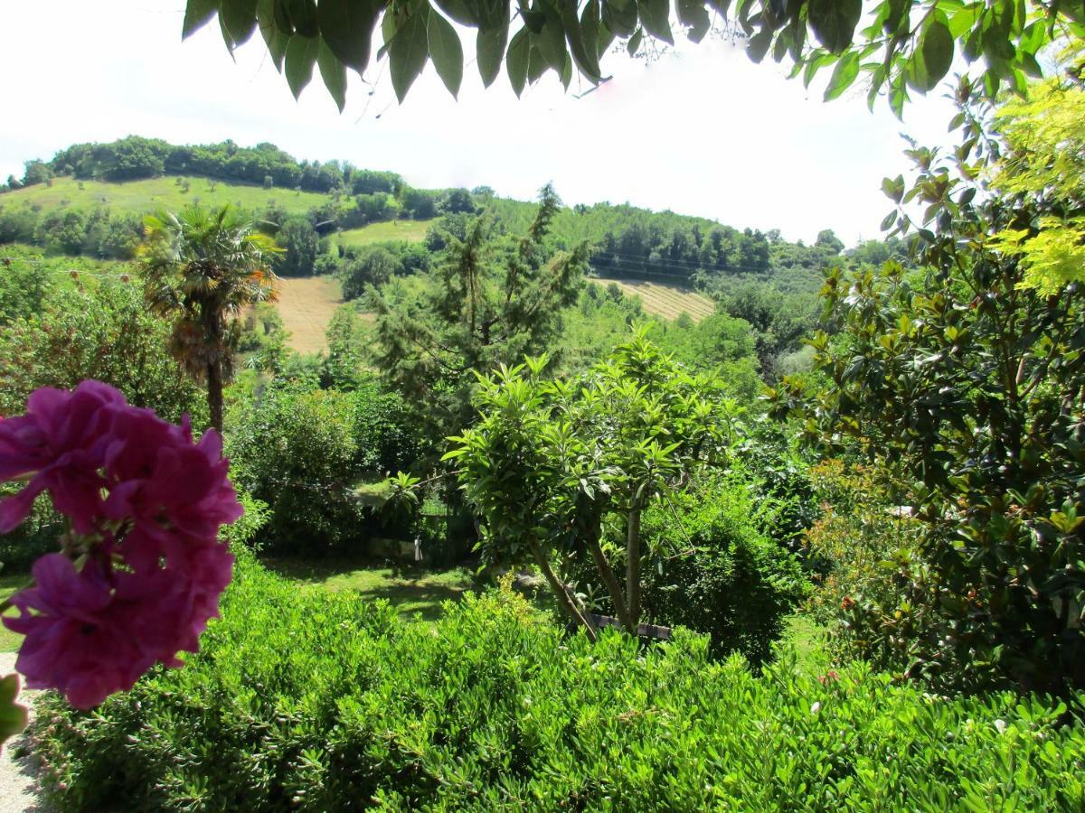 B&B Carboni Penna San Giovanni Εξωτερικό φωτογραφία